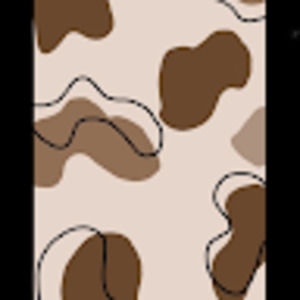 Meet your Posher, Kareena